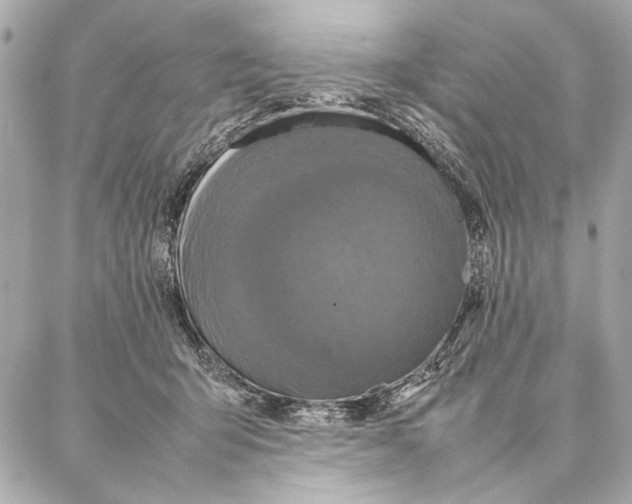 X0000087360415200705111650