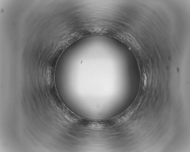 X0000087360416200705111650