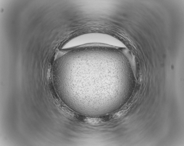 X0000087360417200705111650