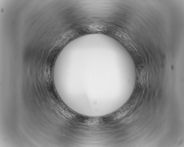 X0000087360418200705111650