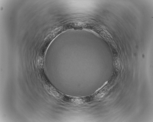 X0000087360419200705111650