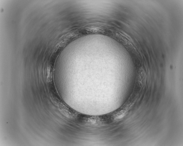 X0000087360420200705111650