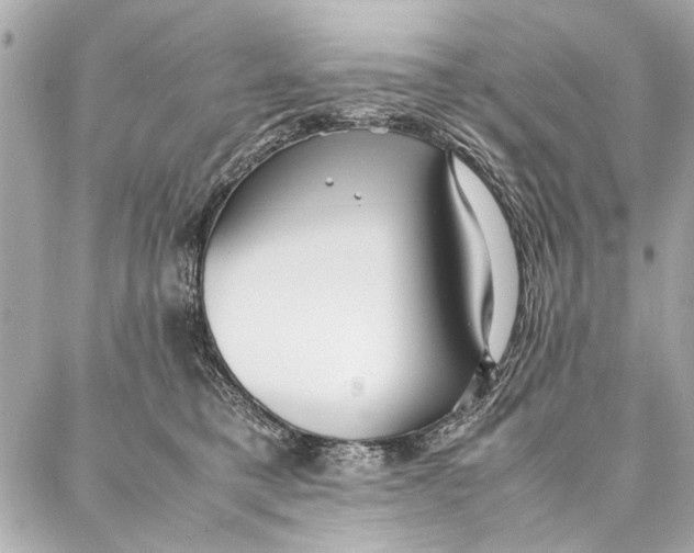 X0000087360421200705111650