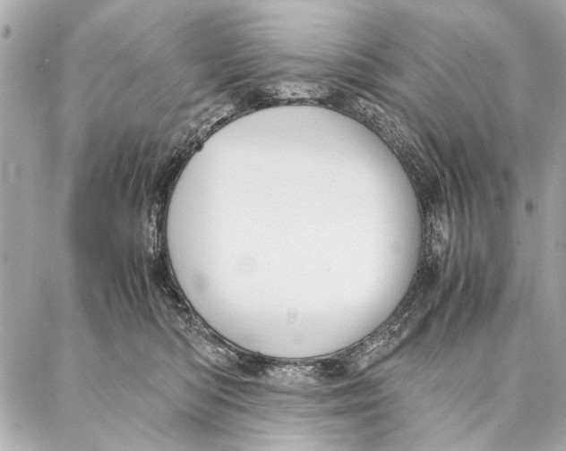 X0000087360422200705111650