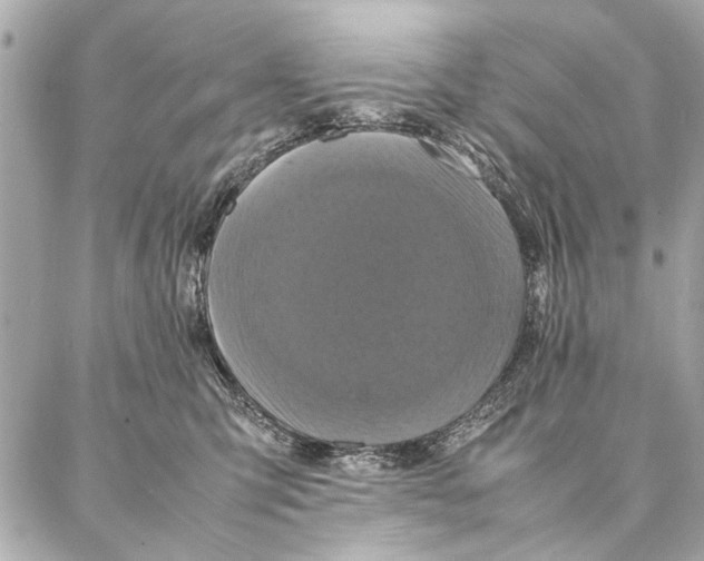 X0000087360423200705111650