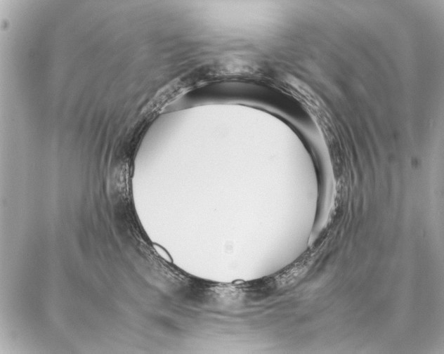 X0000087360425200705111650