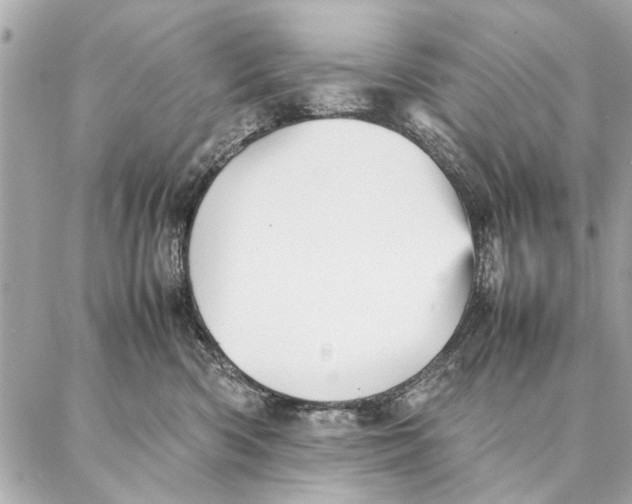 X0000087360426200705111650