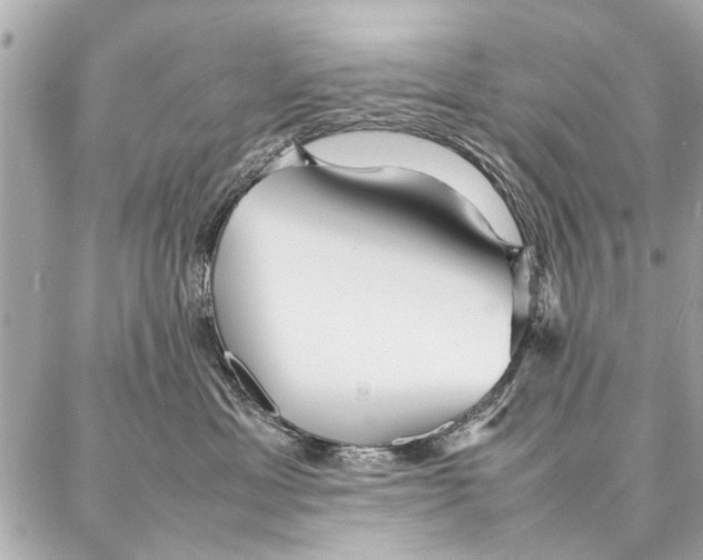 X0000087360429200705111649