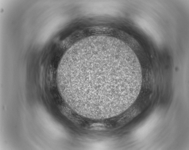 X0000087360430200705111649