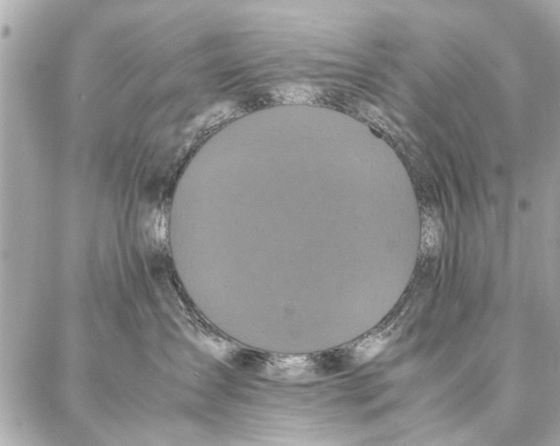 X0000087360431200705111649