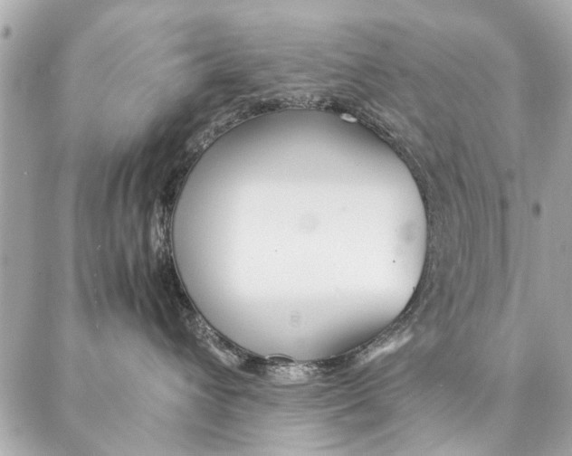 X0000087360432200705111649