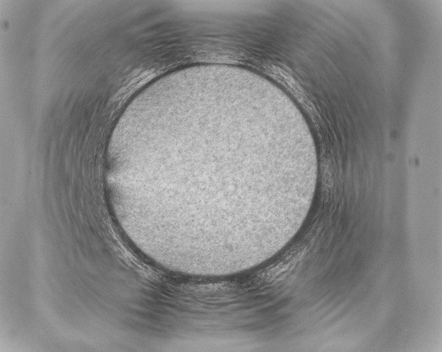 X0000087360433200705111649