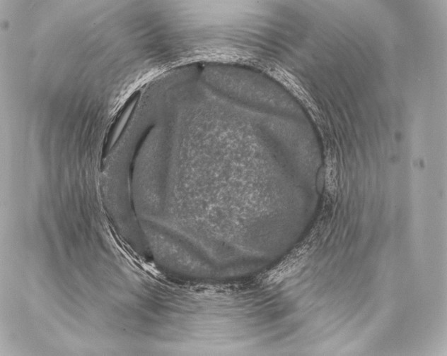 X0000087360434200705111649