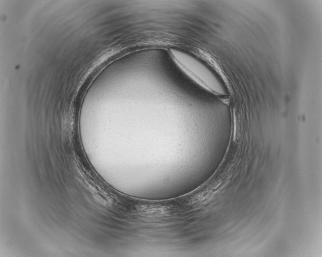 X0000087360435200705111649