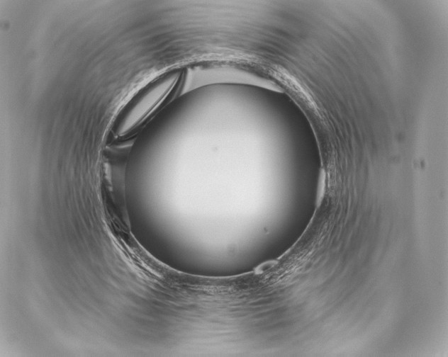 X0000087360436200705111649