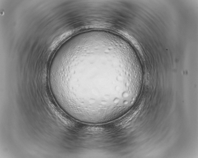 X0000087360437200705111649