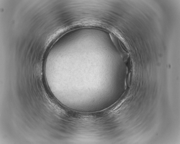 X0000087360438200705111649