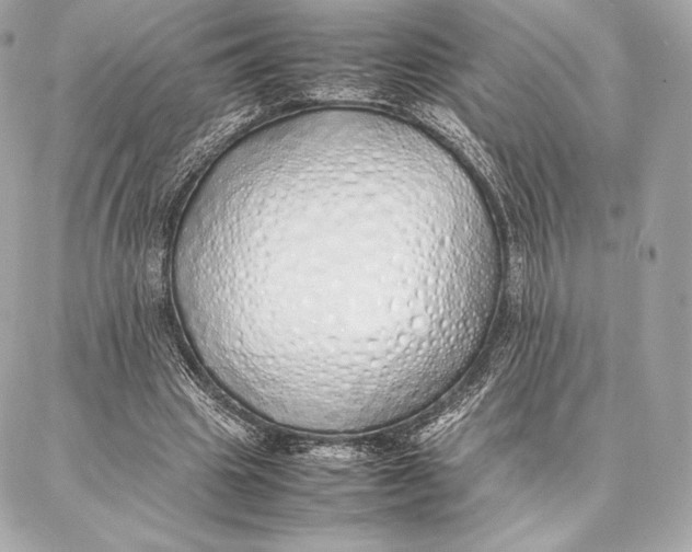 X0000087360441200705111649