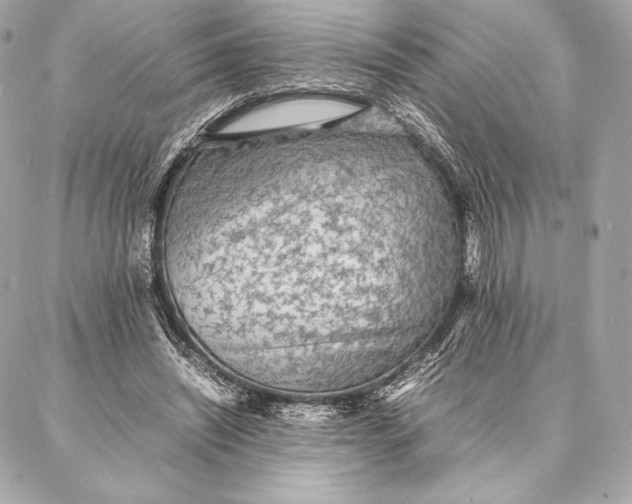 X0000087360444200705111649