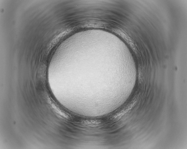 X0000087360445200705111649