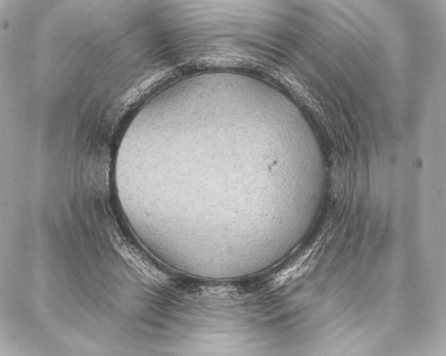 X0000087360446200705111649