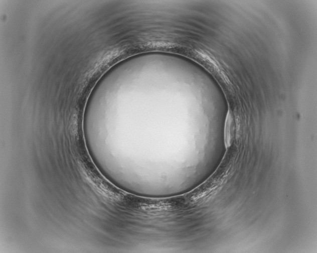 X0000087360447200705111649