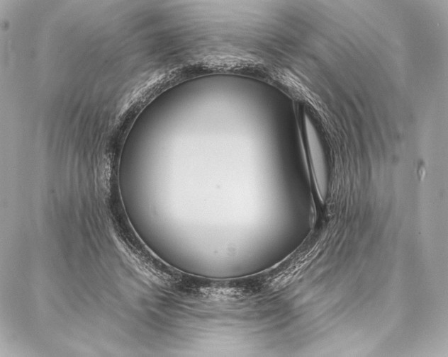 X0000087360448200705111649