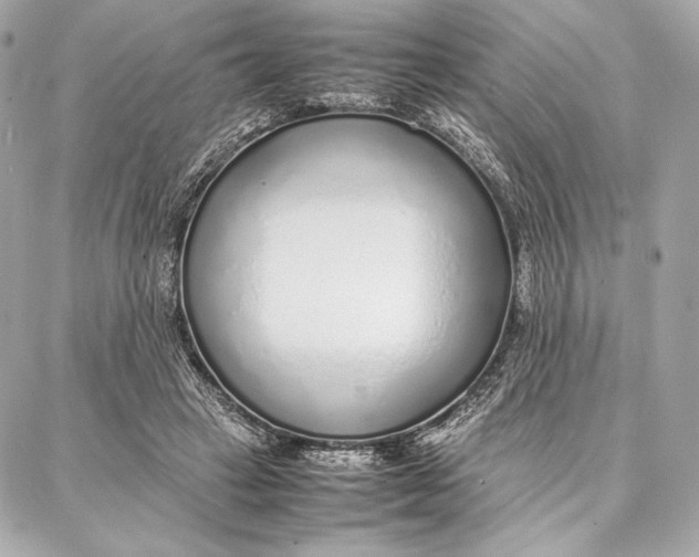 X0000087360449200705111649