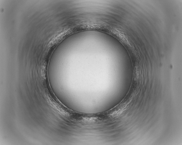 X0000087360450200705111649