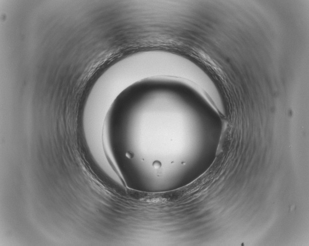 X0000087360452200705111649