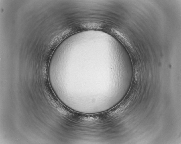 X0000087360453200705111649