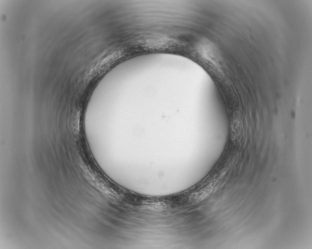 X0000087360454200705111649