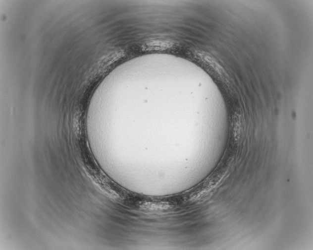 X0000087360455200705111649