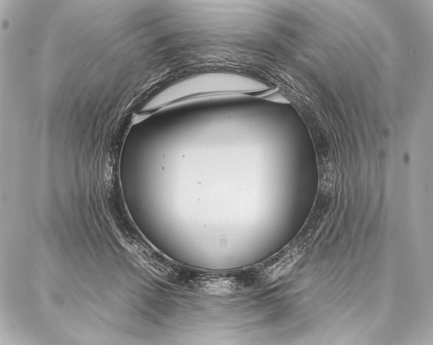 X0000087360456200705111649