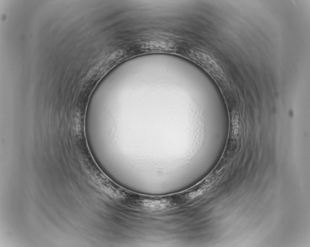 X0000087360457200705111649