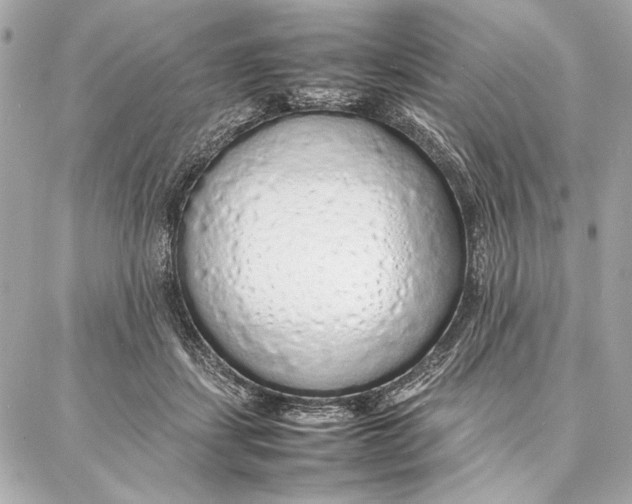 X0000087360459200705111649