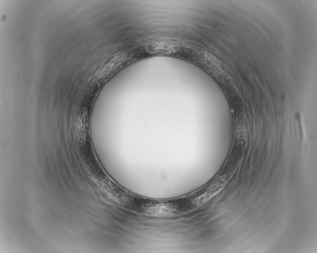 X0000087360460200705111649