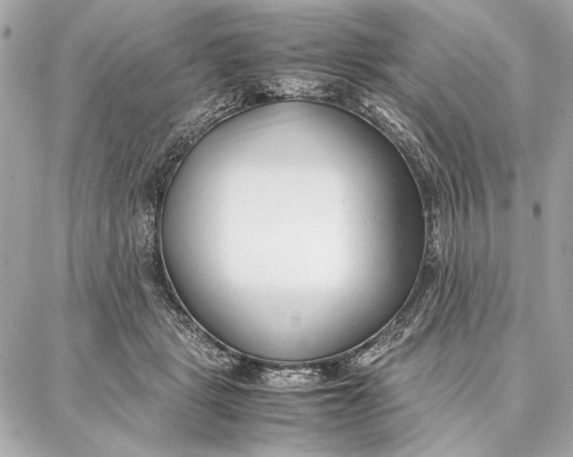 X0000087360461200705111649