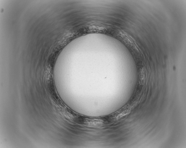 X0000087360463200705111649