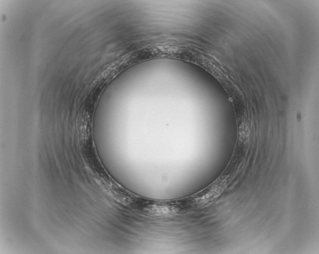 X0000087360464200705111649