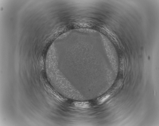 X0000087360465200705111649