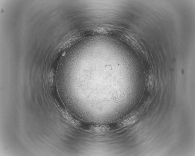 X0000087360466200705111649