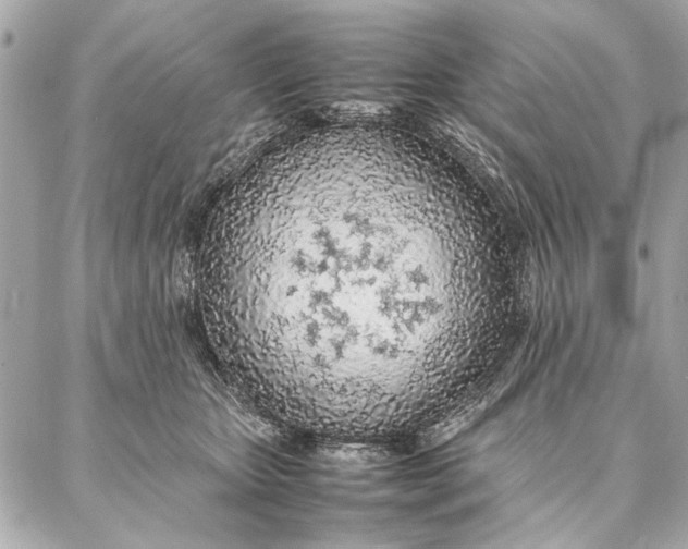 X0000087360467200705111649