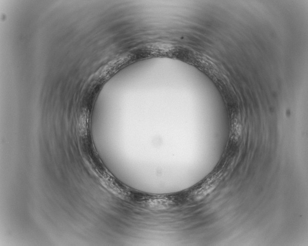 X0000087360468200705111649