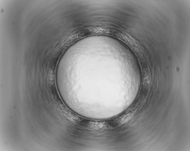 X0000087360469200705111649