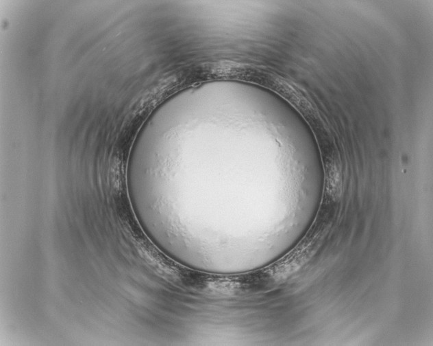 X0000087360470200705111649