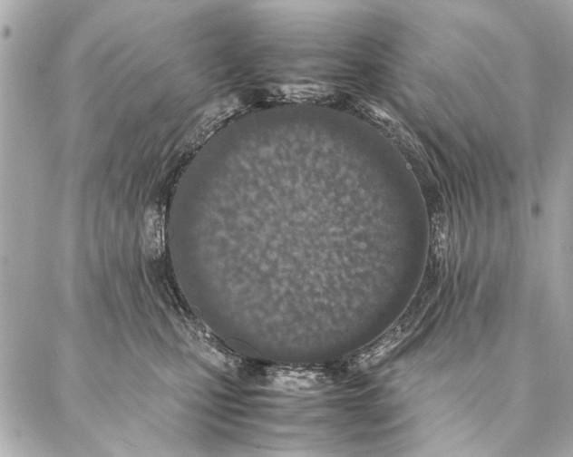 X0000087360471200705111649