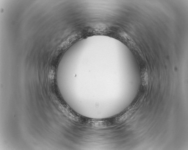 X0000087360472200705111649