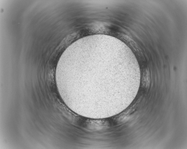 X0000087360473200705111649