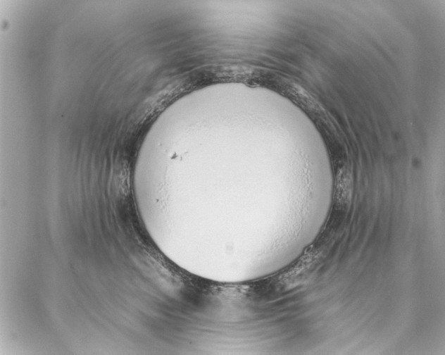 X0000087360474200705111649